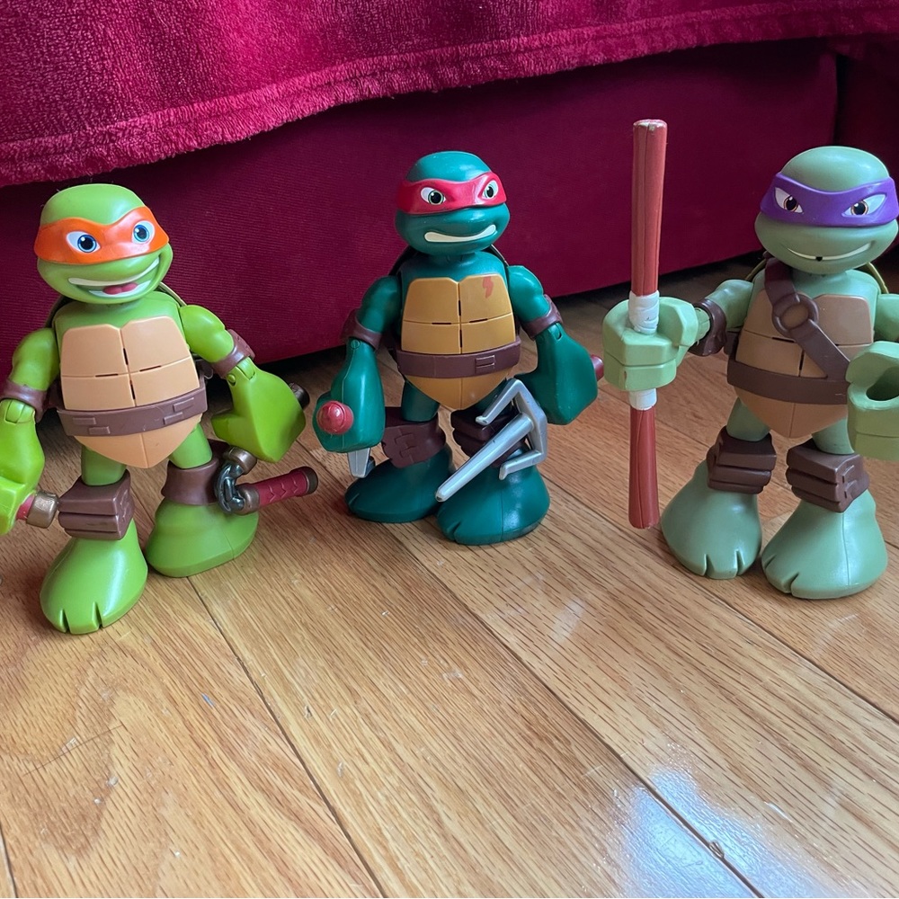 Ninja Turtle